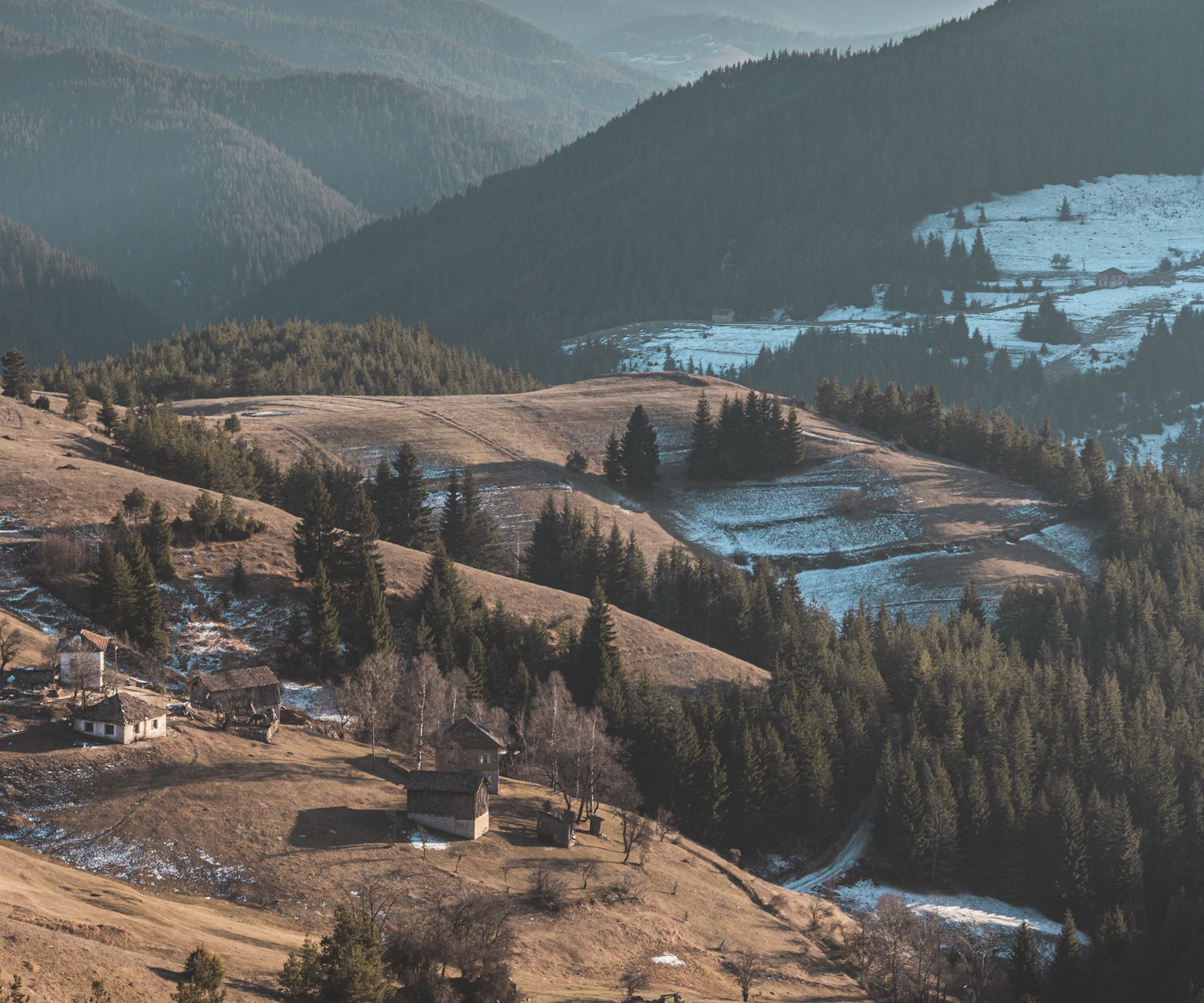 Traditional rural houses among trees in the Rhodope Mountains