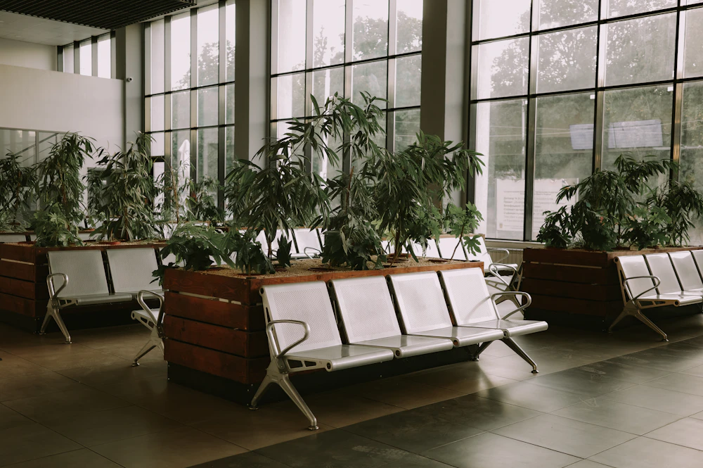 Waiting area with benches and plants in Sofia, Bulgaria