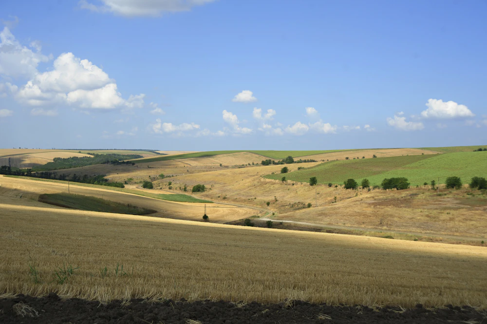 Fields and countryside near Varnentsi in Bulgaria's Silistra region